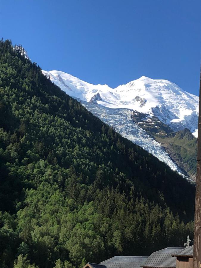 דירות שאמוני Aiguille Du Midi - Le Chamo'Nid מראה חיצוני תמונה